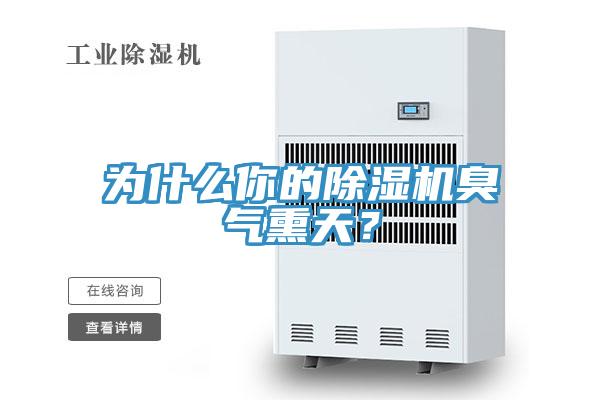 為什麽你的蘑菇视频网站臭氣熏天？